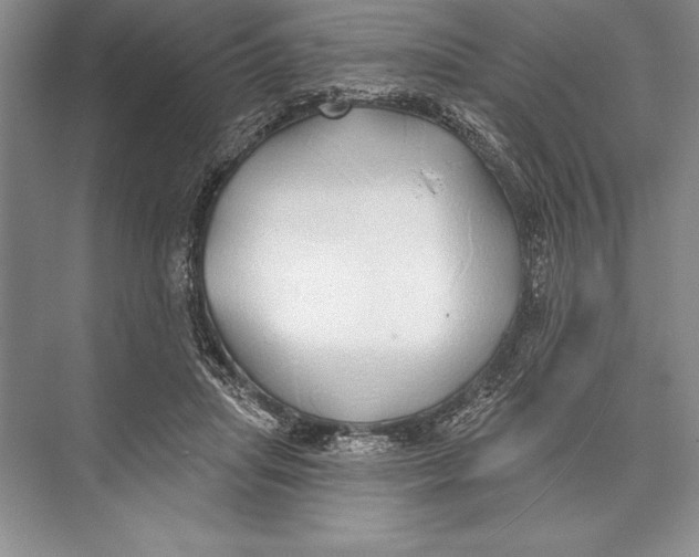 X0000074960455200609221801