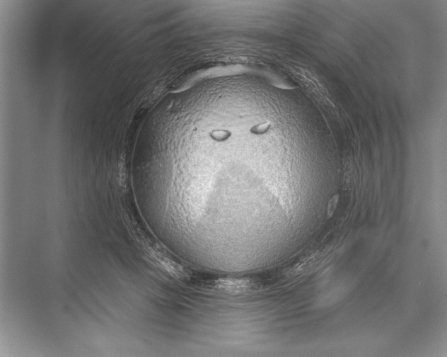 X0000074960457200609221801