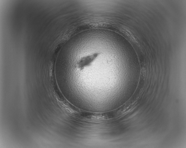 X0000074960458200609221801