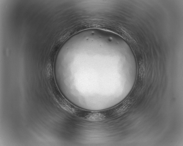 X0000074960459200609221801