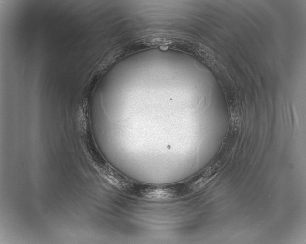 X0000074960460200609221801