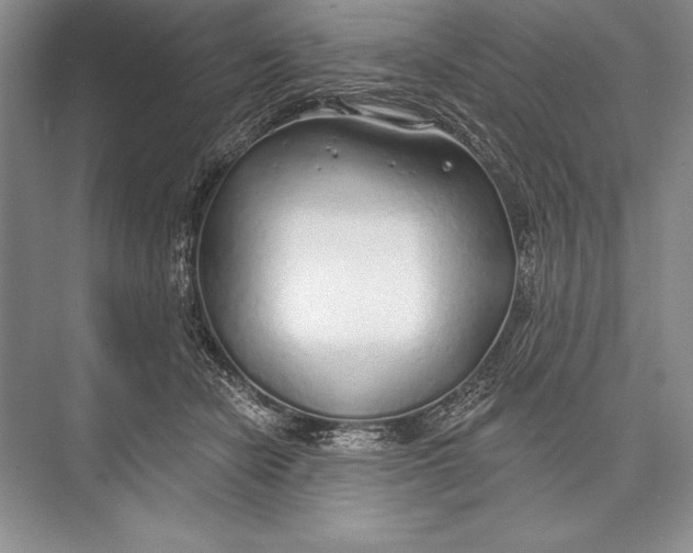 X0000074960462200609221801