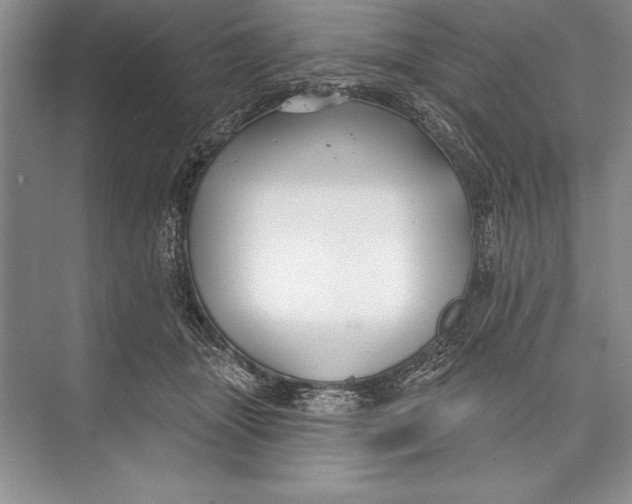 X0000074960463200609221801