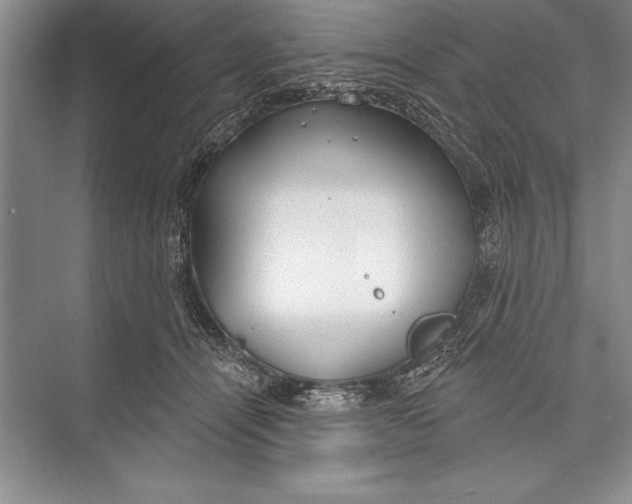 X0000074960464200609221801