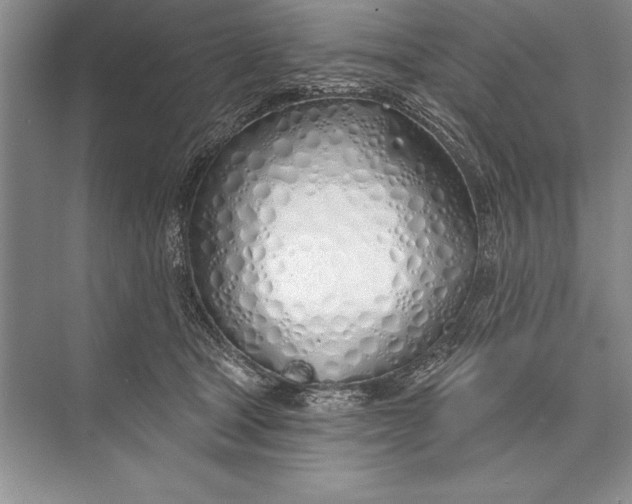 X0000074960465200609221801