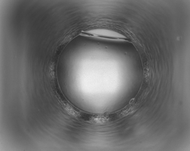 X0000074960466200609221801