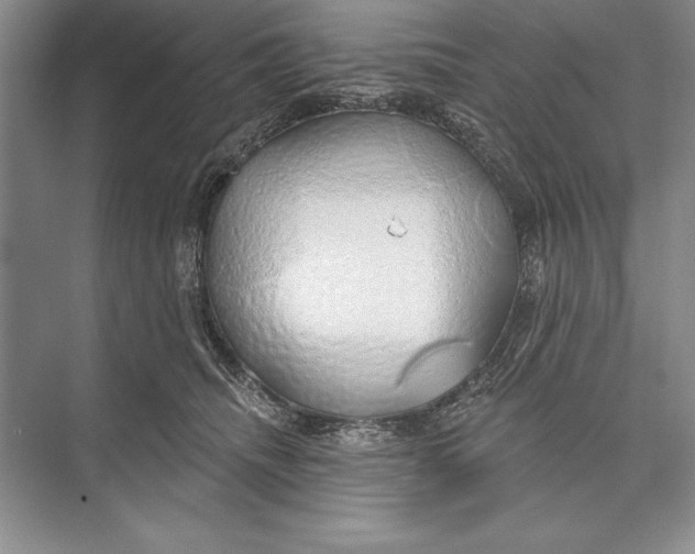 X0000074960468200609221801