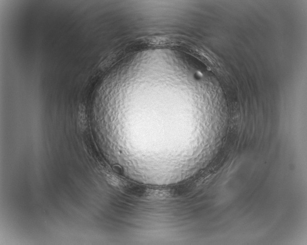 X0000074960469200609221801