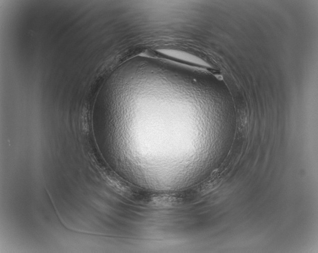 X0000074960470200609221801