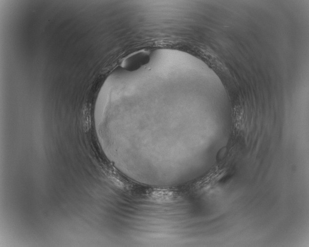 X0000074960471200609221801