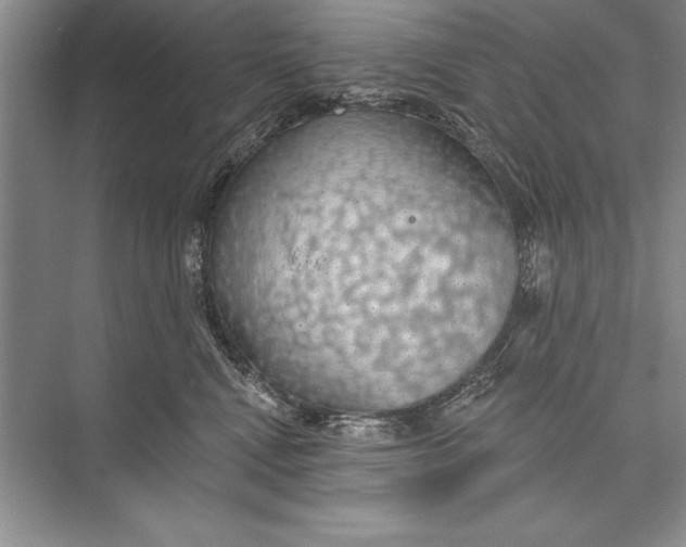 X0000074960472200609221801