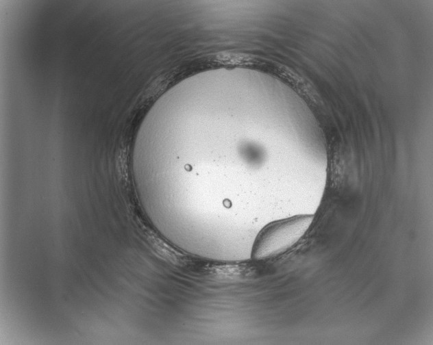 X0000074960473200609221801