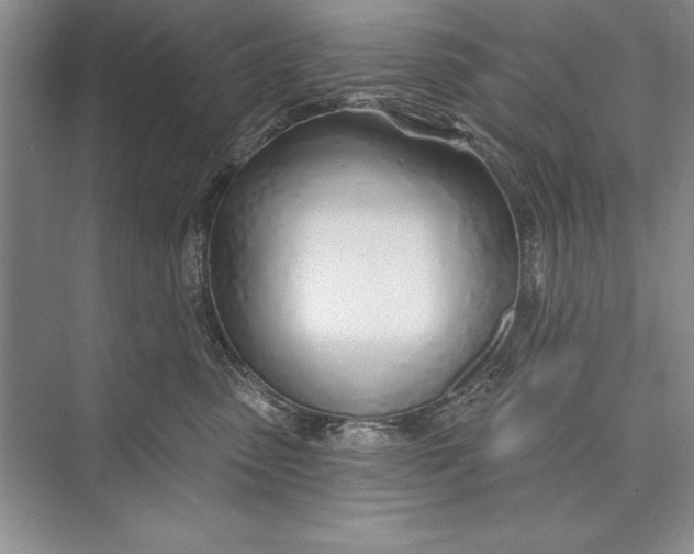 X0000074960475200609221801