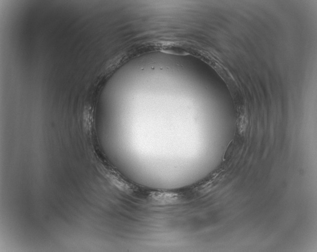 X0000074960476200609221802