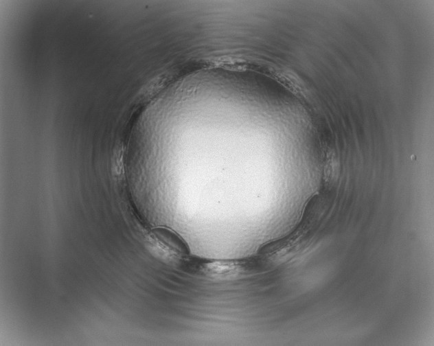 X0000074960477200609221802