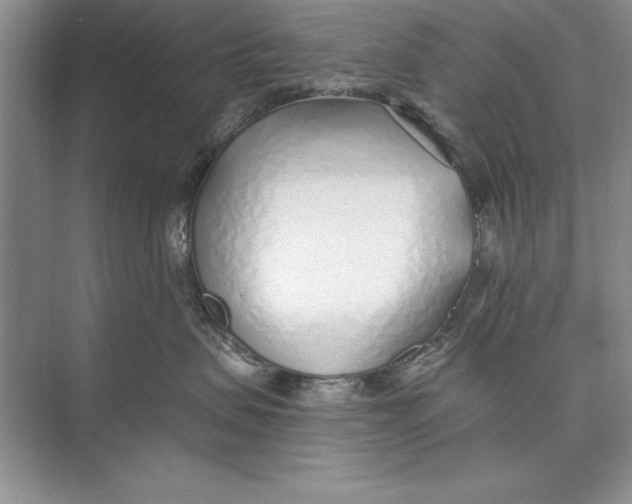 X0000074960479200609221802