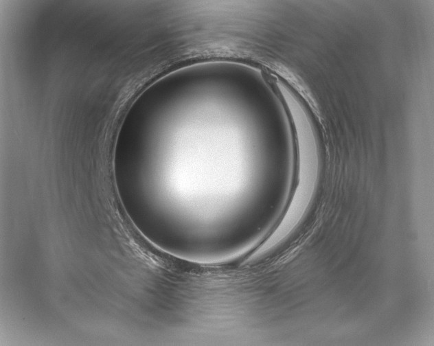 X0000074960481200609221801