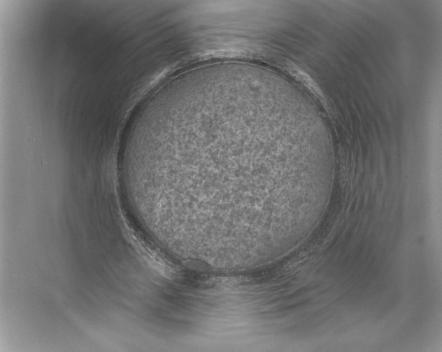 X0000074960482200609221801