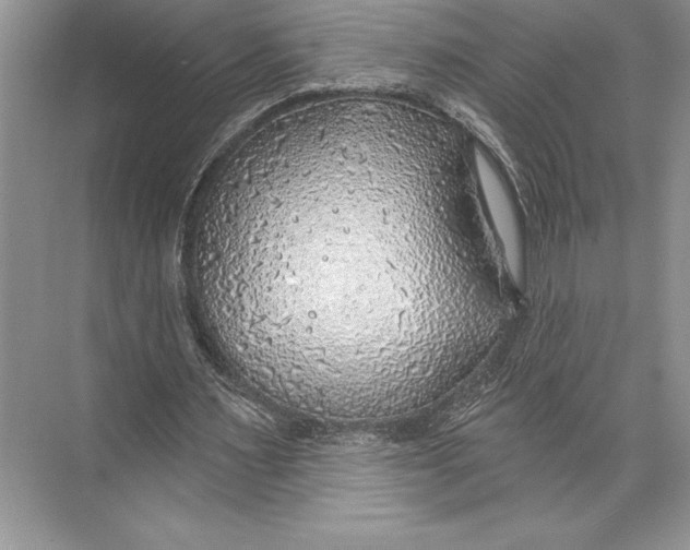 X0000074960483200609221801