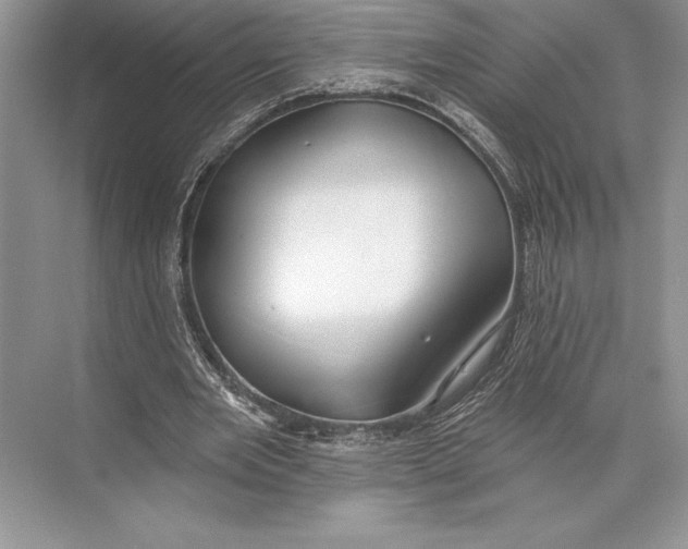 X0000074960485200609221801