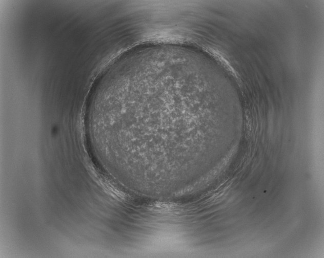 X0000074960487200609221801