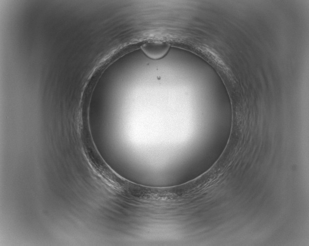 X0000074960488200609221801