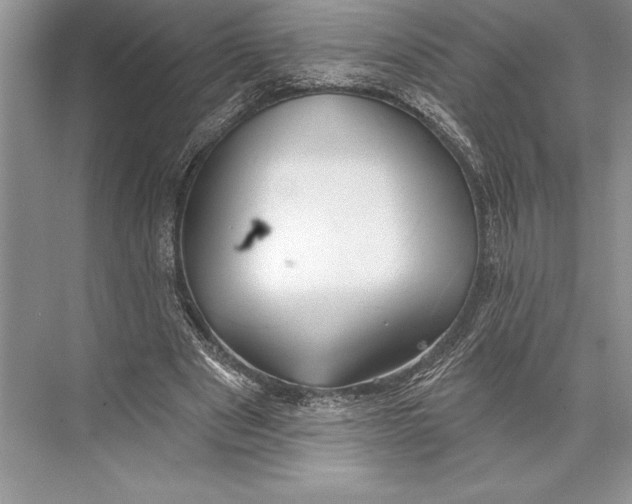 X0000074960489200609221801