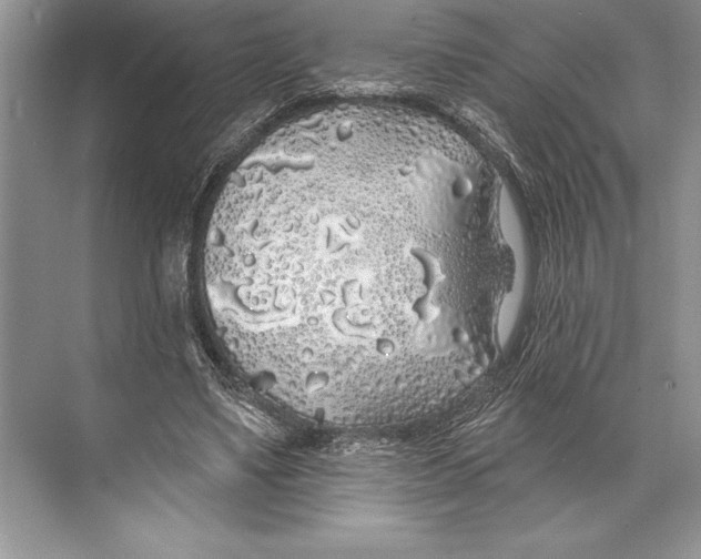 X0000074960491200609221801