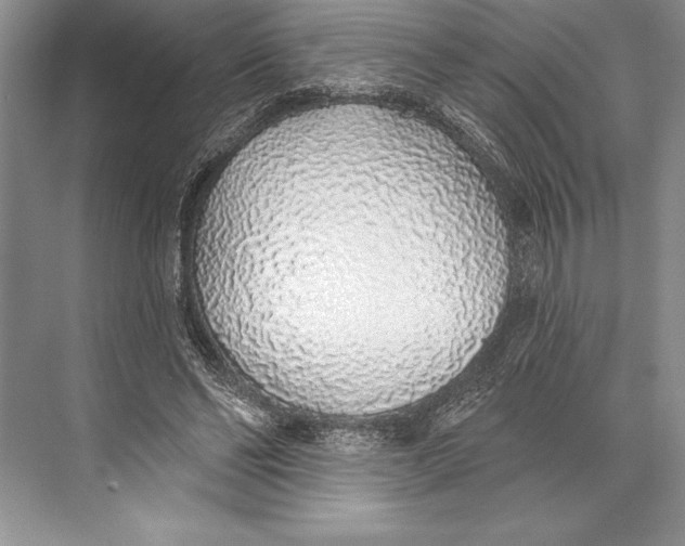 X0000074960494200609221801