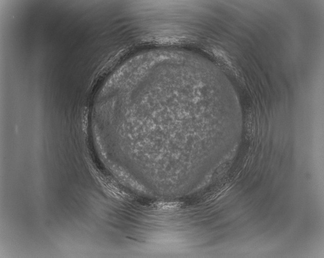 X0000074960495200609221801