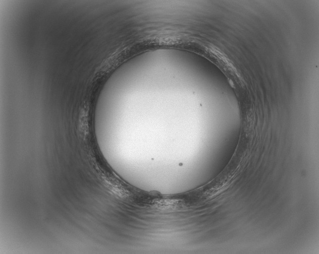 X0000074960497200609221800