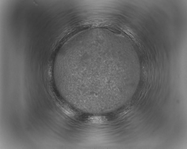 X0000074960499200609221800