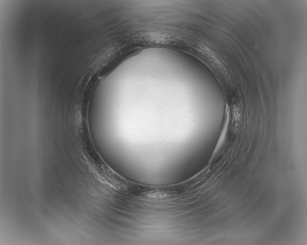 X0000074960500200609221800