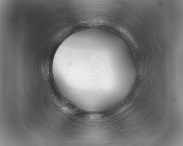 X0000074960501200609221800