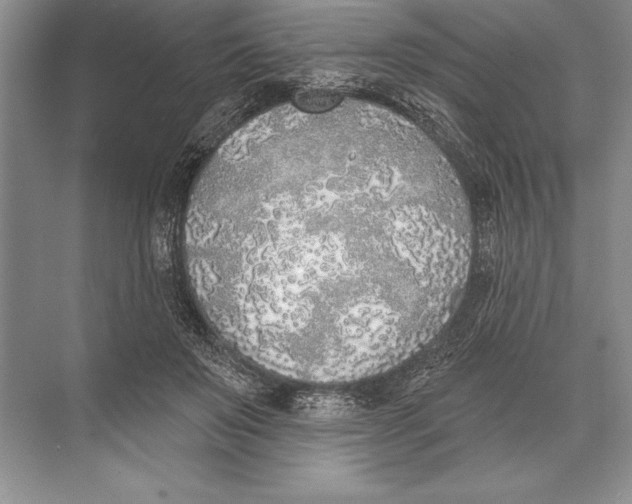 X0000074960503200609221800