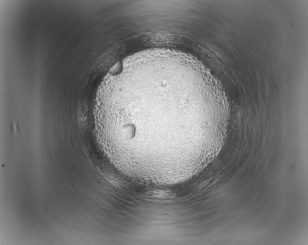 X0000074960507200609221800