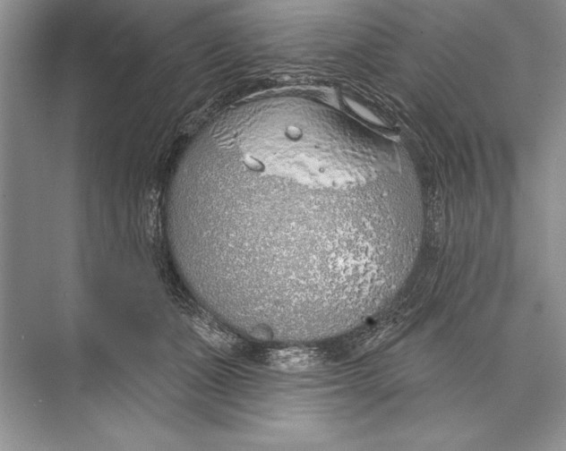 X0000074960511200609221800