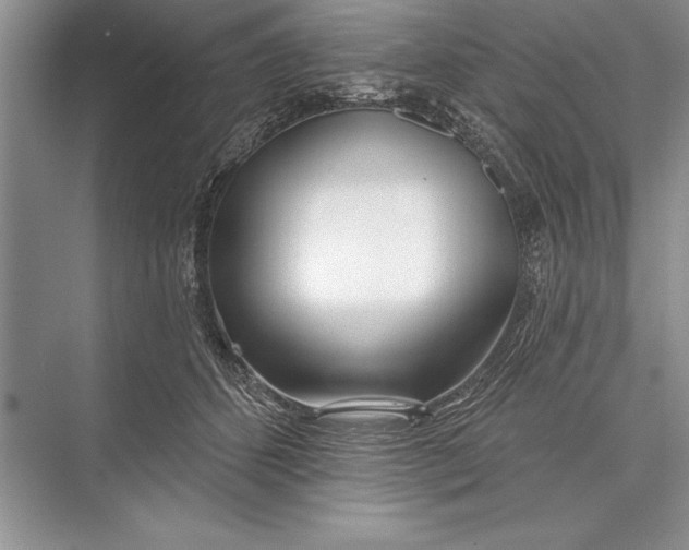 X0000074960512200609221800