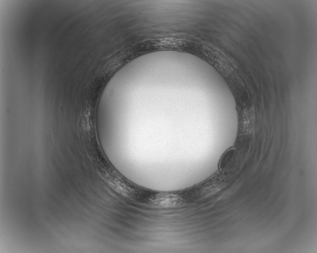 X0000074960514200609221800