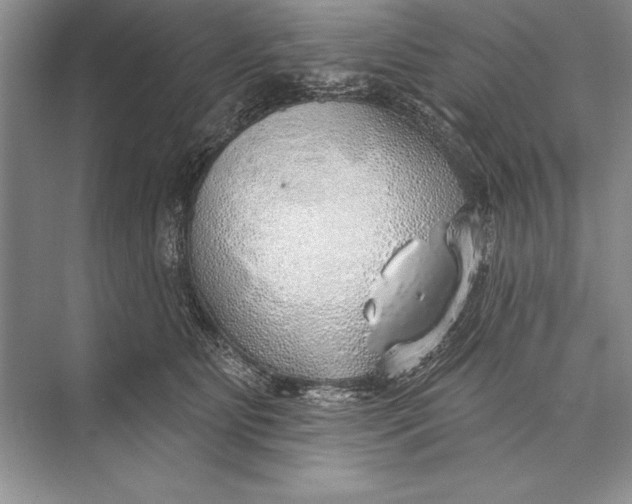 X0000074960515200609221800