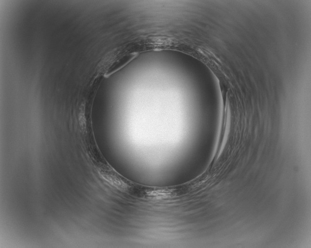 X0000074960516200609221800