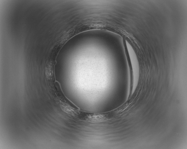 X0000074960517200609221800