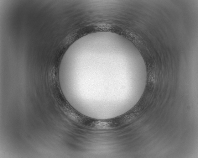 X0000074960518200609221800