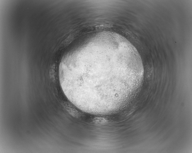 X0000074960519200609221800