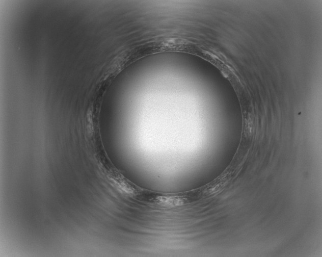 X0000074960520200609221800