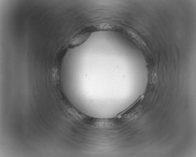 X0000074960521200609221800