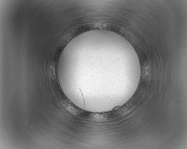 X0000074960522200609221800