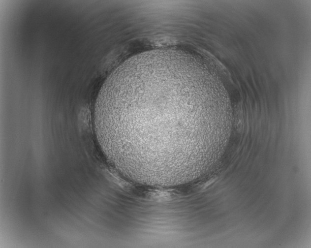 X0000074960523200609221800