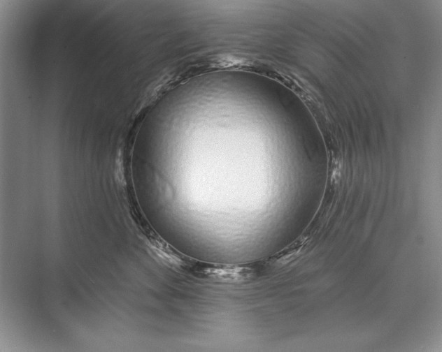 X0000074960524200609221800