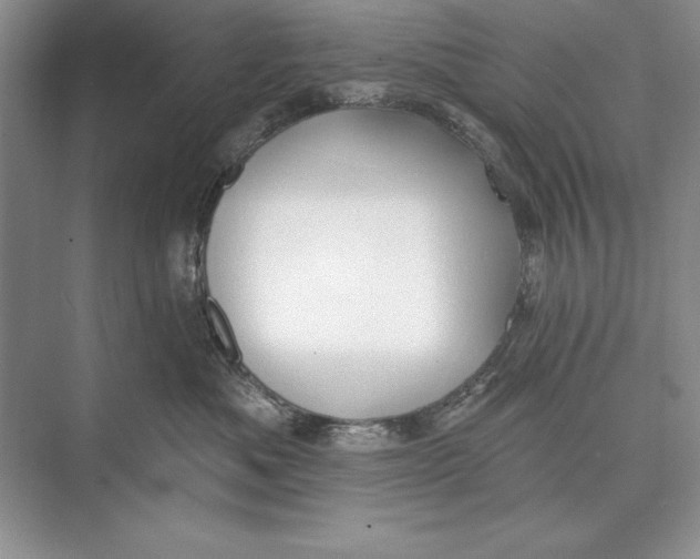 X0000074960525200609221800